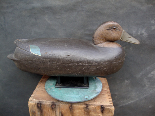Black duck decoy charles - decoy,