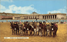 R621210 20227 Donkeys at