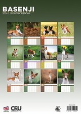 Basenji Dog 2026 A3 Calendar