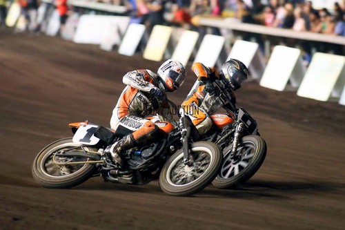 Harley davidson 750 - harley-davidson, racer