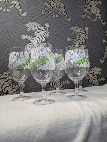 Hopnik citra pint glass bundle - pint,