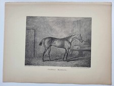Vintage Antique Print 1887