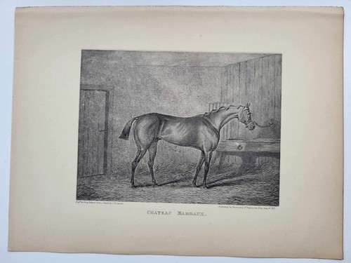 Vintage antique print - vintage,
