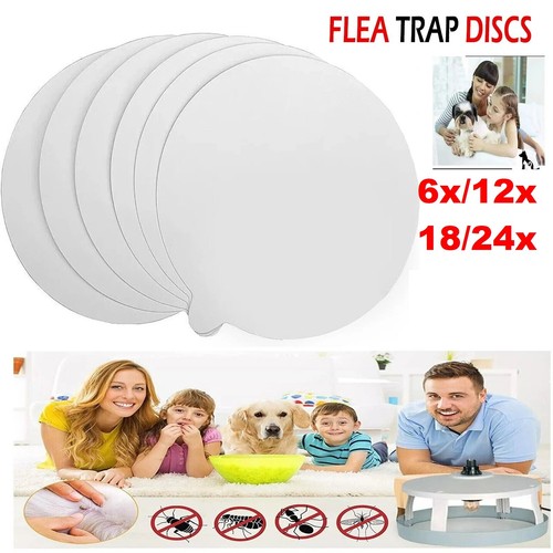 Flea trap discs replacement - trap,