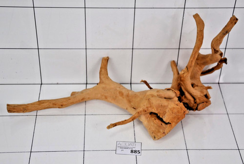 Premium aquarium natural wood - aquarium,