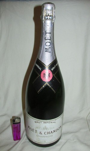 Empty moet chandon dummy - empty,
