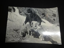 The Priest of St Bernard with his favorites Postcard - St Bernard Puppies 1966