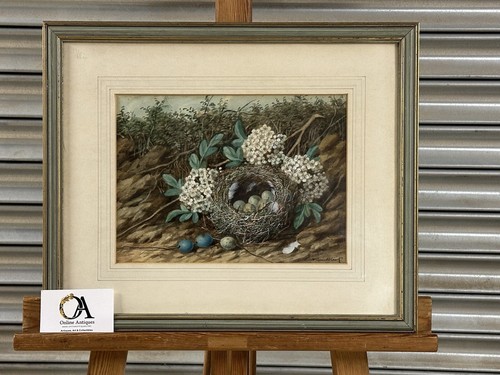 Original 19thc watercolour - 19thc, of