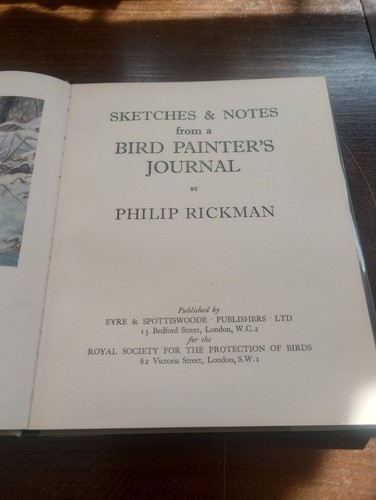 Bird sketches and - bird, notes
