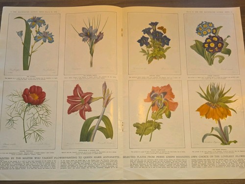 1950 set pierre joseph - 1950,