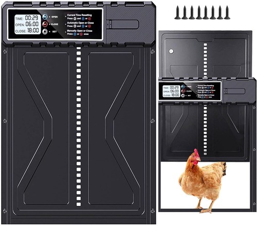 Automatic chicken coop door - chicken,