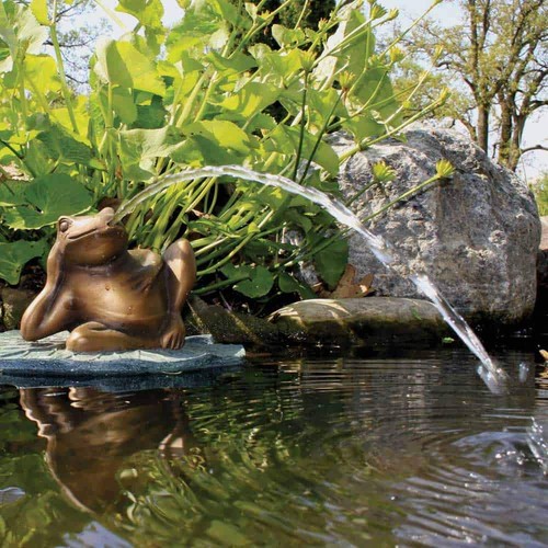 Pond fountain lazy - lazy, frog