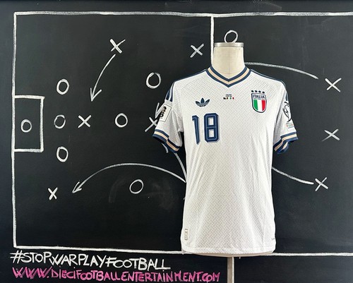 Italy bosnia fifa world cup - v,