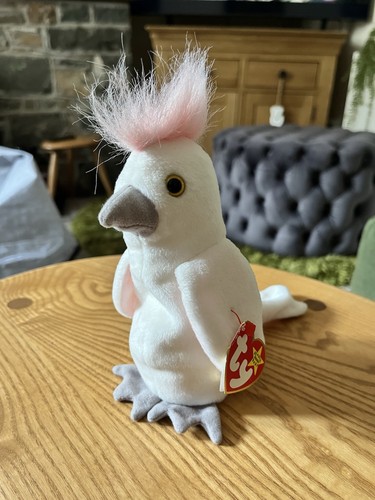 Kuku the cockatoo - cockatoo, bird