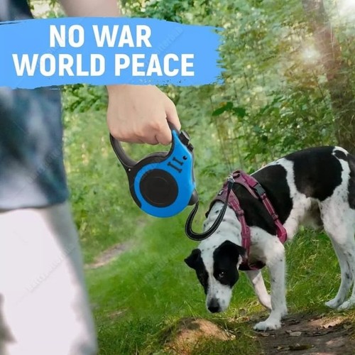 Retractable dog lead - dog,