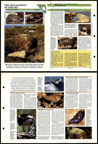 The management species - of,