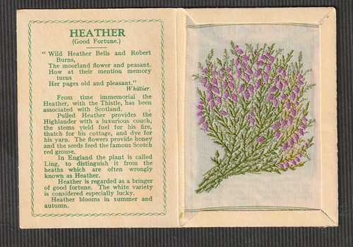 Kensitas wix silk flower - silk, &
