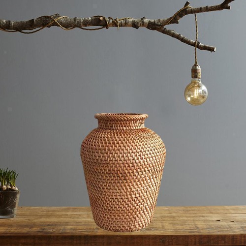 Rustic style home - style, plant