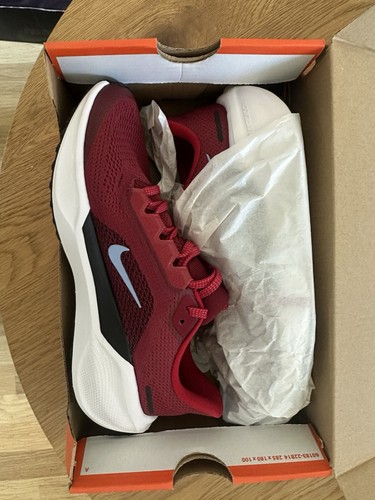 Nike pegasus - nike,