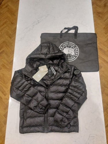 Canada goose crofton - goose,