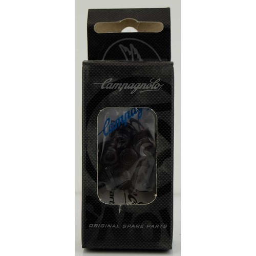 Campagnolo bicycle cycle - cycle, bike