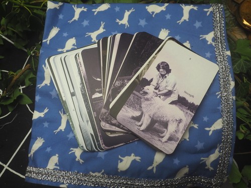 White hare altar divination - white,