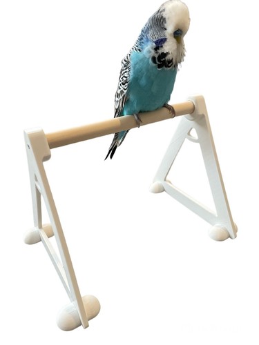 Bird perch floor stand - perch,