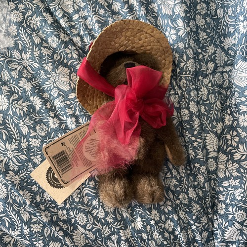 Lovely boyd bear in - bear,