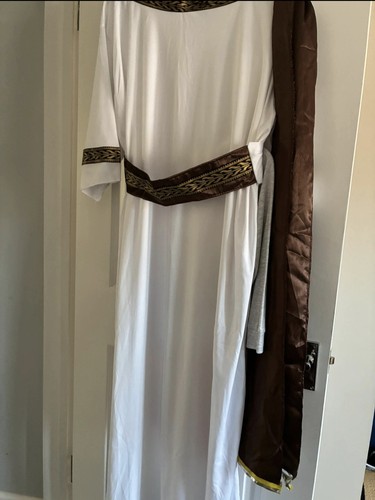 Roman fancy dress costume - fancy,