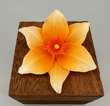 Vintage West Germany Daffodil