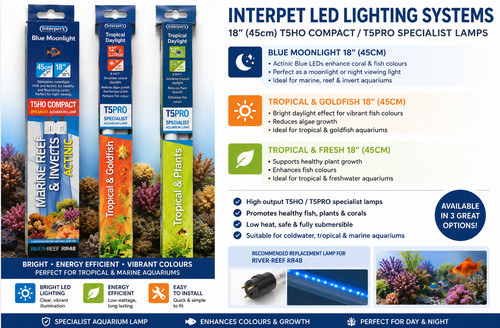 Interpet blue moonlight t5ho - blue,