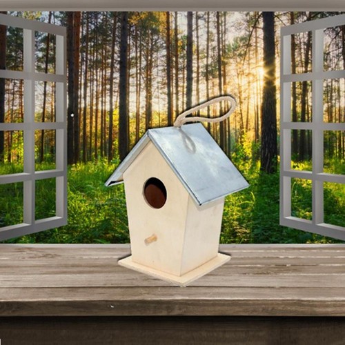 Outside house hummingbird - ,