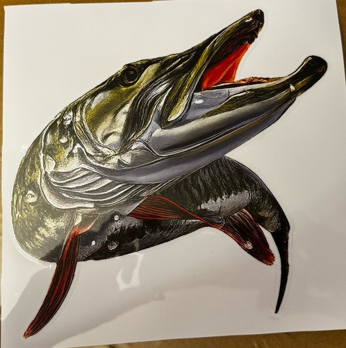 High definition pike - definition,