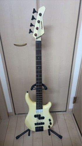 Fernandes frb65 fgi active - frb65?,