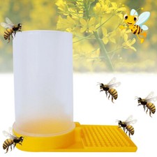 Bee Water Feeder Dispenser