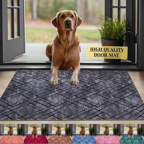 Small large door mat indoor - large,