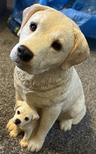 Sandicast labrador dog puppy - sandicast, &