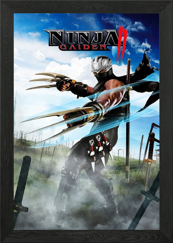 Ninja gaiden cover art - ninja, ii