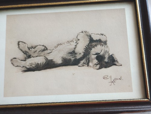 Miniature schnauzer print - miniature,