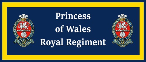 Princess wales royal - princess,