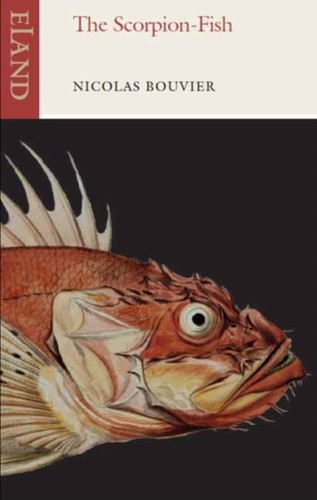 The scorpion fish nicolas - the,