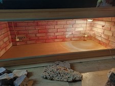 Vivexotic Bearded Dragon Vivarium Plus Lights See Discription