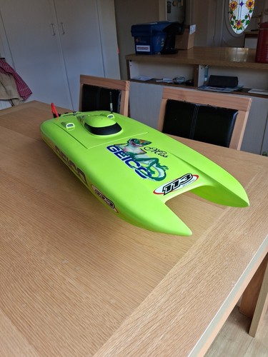 Proboat miss geico - geico, 29