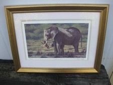 Stephen Gayford ~ Limited Edition Framed Print ~ Elephants ~ "Stand by Me"