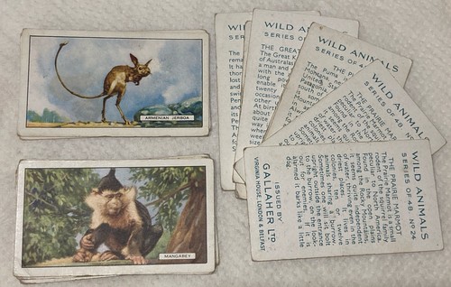 1937 gallaher wild animals - 1937,