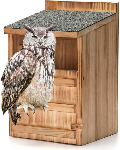 Premium cedar owl house - cedar,