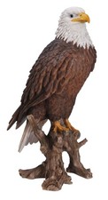 American Bald Eagle - Lifelike