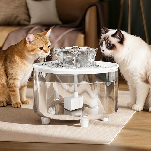 Auto water fountain pet - water,