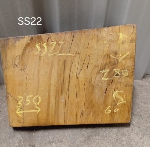 Spalted sycamore live - sycamore, edge