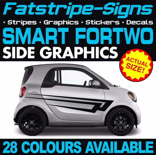Fit smart car - smart,